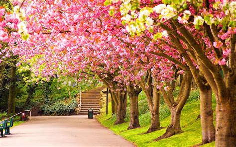 fondo de pantalla de la primavera|fondos de pantalla de primavera.